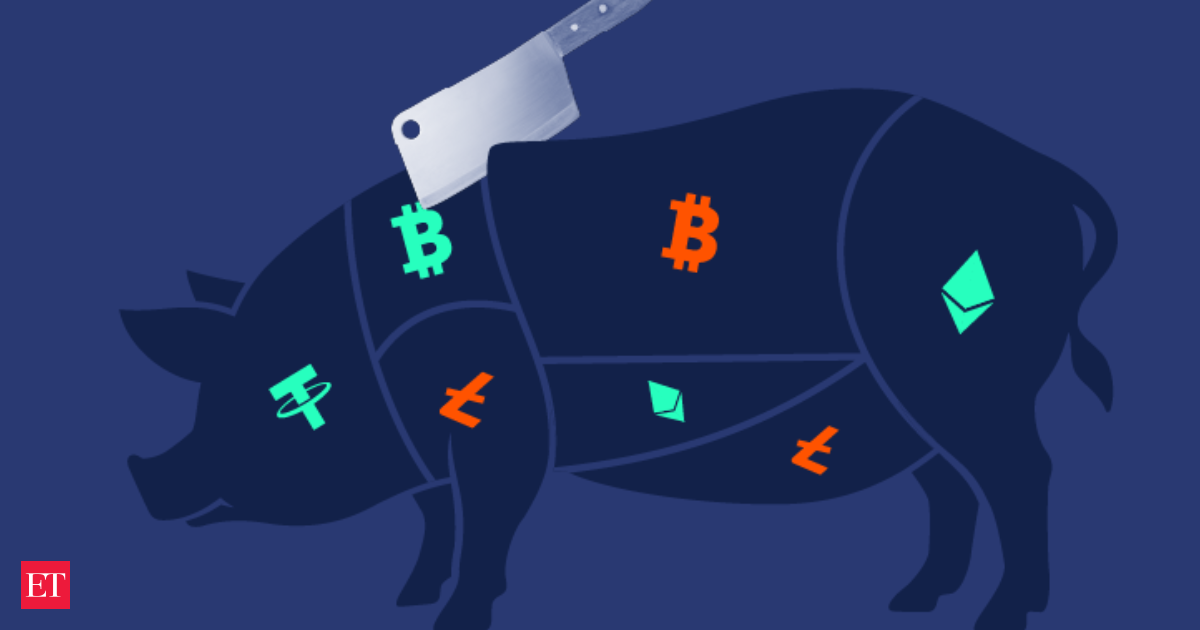 cryptocurrency fraud: 'Pig Butchering' Scam: How China's 'Broken Tooth' stole over $75 bn from global investors using crypto currencies