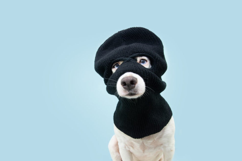 Congressman Buys More Ski Mask Dog Coin: Will Meme Coin Hit New All-Time-Highs On Latest Disclosure? - Grayscale Ethereum Mini Trust (ETH) Common units of fractional undivided beneficial interest (ARCA:ETH)